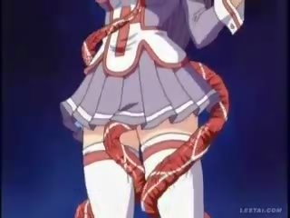 Hentai anime lassie molested with tentacles
